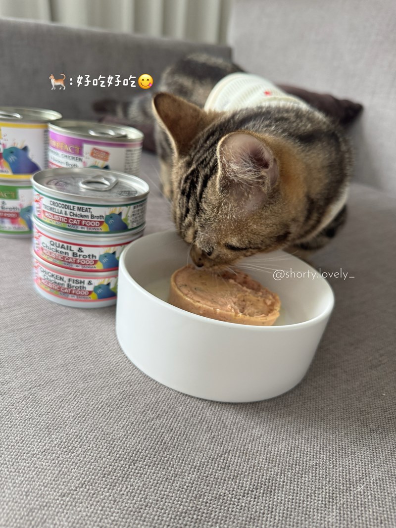 女人知己試用大隊,口碑行銷,部落客行銷,PURRFACT 波菲特貓用主食罐,主食罐,PURRFACT波菲特,貓主食罐,貓罐,PURRFACT波菲特貓用主食罐,魚肉蔓越莓主食罐,鮮嫩雞主食罐,鹿肉雞肉主食罐,牛肉鵪鶉貓主食罐,干貝蠶蛹配方,鱷魚肉白木耳配方,雞肉魚肉配方,安心鶉配方,評價,體驗,適口性佳,心得,成貓適用,高齡貓適用,質地是慕絲狀